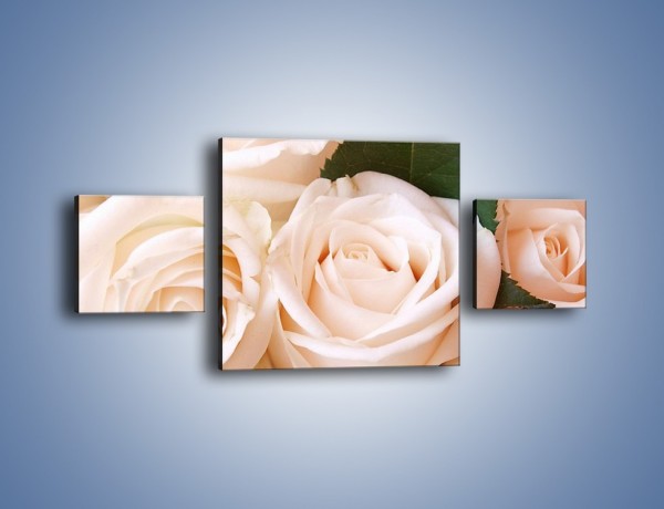 Obraz na płótnie – Liść wśród bezowych róż – trzyczęściowy K104W4