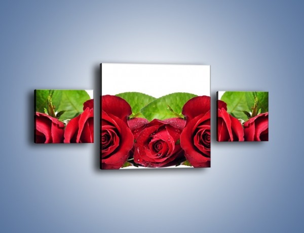 Obraz na płótnie – Pięknie ułożone róże – trzyczęściowy K108W4