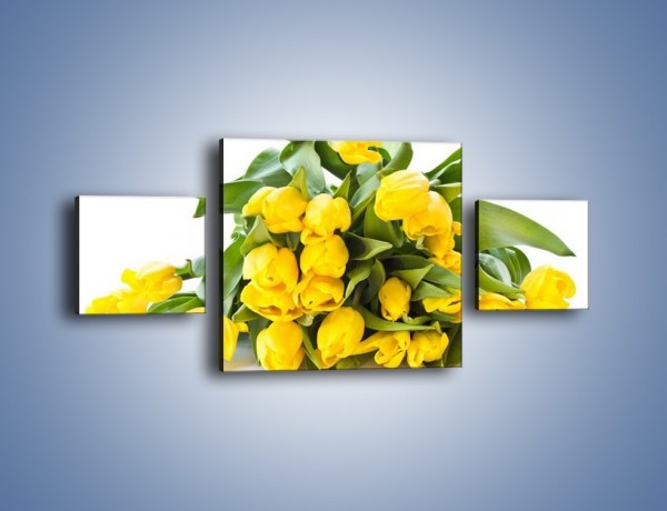 Obraz na płótnie – Piramida żółtych tulipanów – trzyczęściowy K111W4