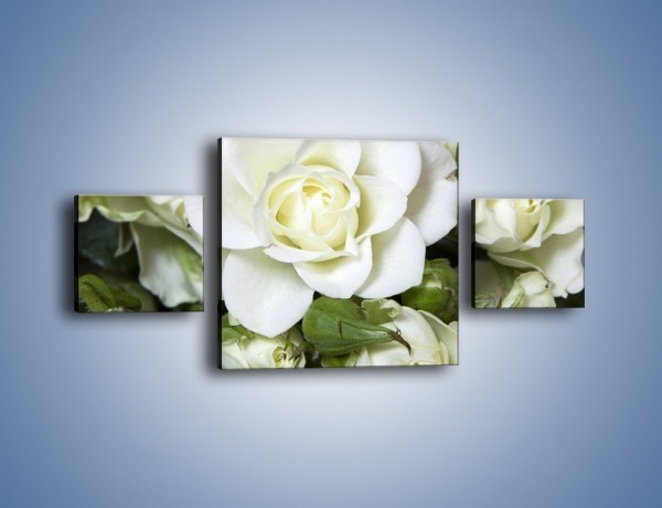 Obraz na płótnie – Białe róże na stole – trzyczęściowy K131W4