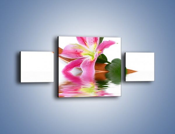 Obraz na płótnie – Odbicie wodne lilii – trzyczęściowy K142W4