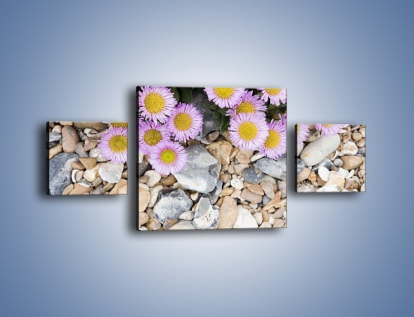 Obraz na płótnie – Kolorowe kamienie czy małe kwiatuszki – trzyczęściowy K146W4