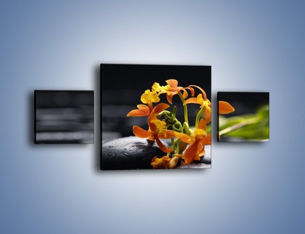Obraz na płótnie – Gałązka małych storczyków – trzyczęściowy K160W4