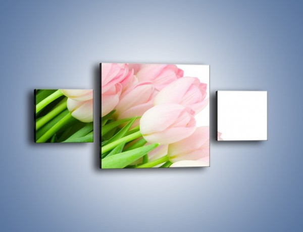 Obraz na płótnie – Światło w kwiatach – trzyczęściowy K183W4