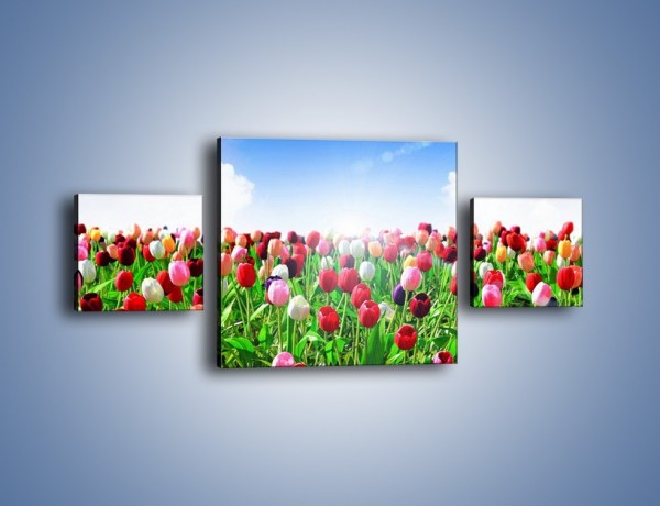 Obraz na płótnie – Droga do nieba z tulipanami – trzyczęściowy K219W4