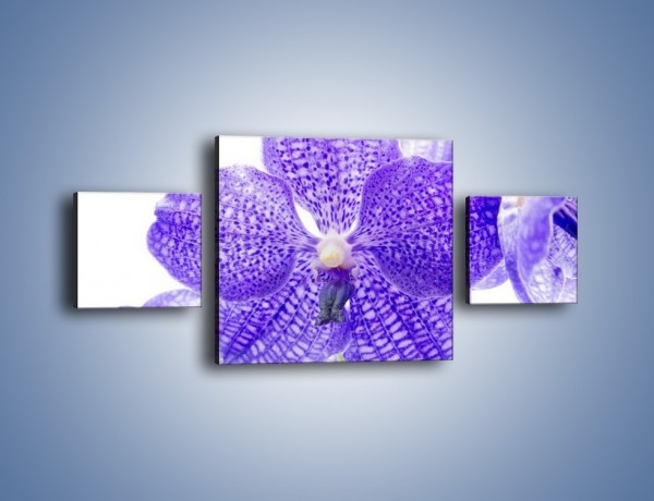 Obraz na płótnie – Jasny fiolet rządzi w kwiatach – trzyczęściowy K259W4
