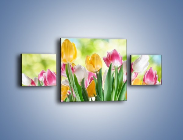 Obraz na płótnie – Tulipany pełne radości – trzyczęściowy K278W4