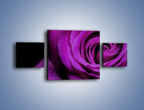 Obraz na płótnie – Tajemniczy różany fiolet – trzyczęściowy K313W4