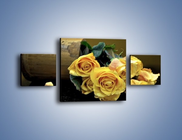 Obraz na płótnie – Zapomniane róże – trzyczęściowy K334W4