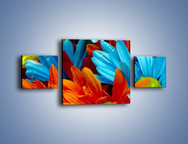 Obraz na płótnie – Kolorowo i kwiatowo – trzyczęściowy K375W4