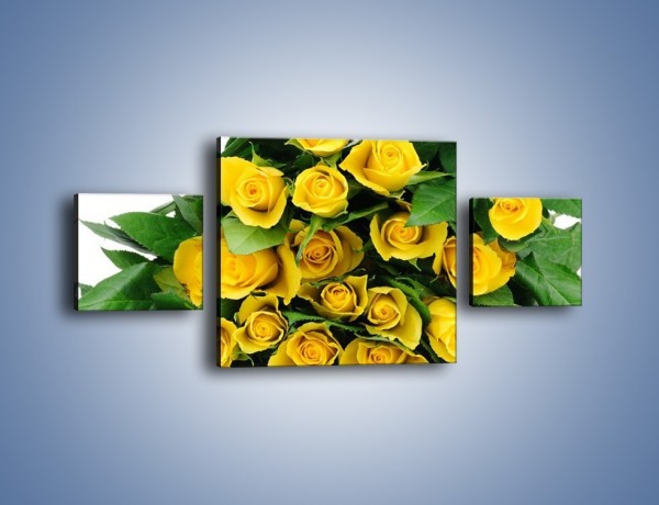 Obraz na płótnie – Wiosenny uśmiech w różach – trzyczęściowy K379W4