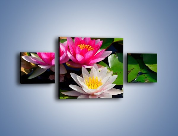 Obraz na płótnie – Pływające kwiaty – trzyczęściowy K392W4
