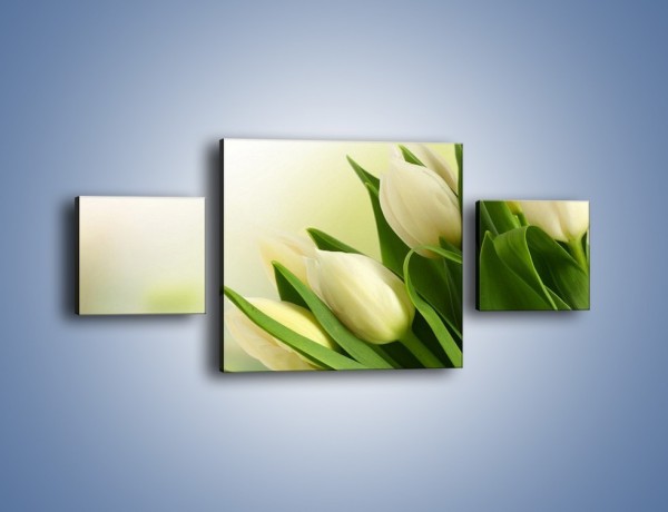 Obraz na płótnie – Białe tulipany na zgodę – trzyczęściowy K400W4