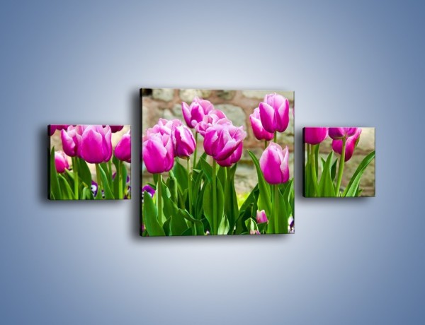 Obraz na płótnie – Tulipany w domowym ogródku – trzyczęściowy K409W4