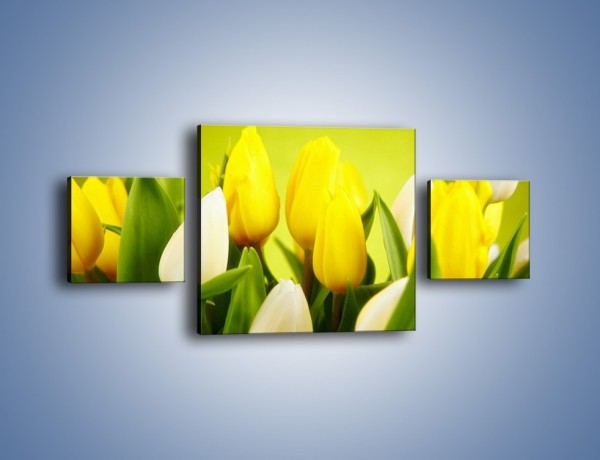 Obraz na płótnie – Nie tylko tulipany – trzyczęściowy K425W4