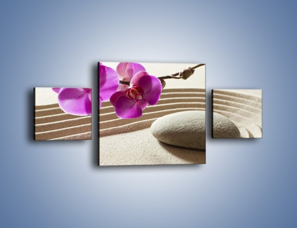 Obraz na płótnie – Kwiat i pustynia – trzyczęściowy K434W4