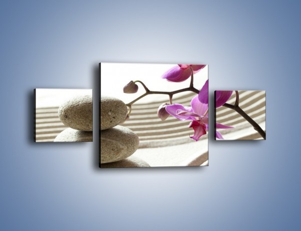 Obraz na płótnie – Kamień piasek i kwiat – trzyczęściowy K435W4