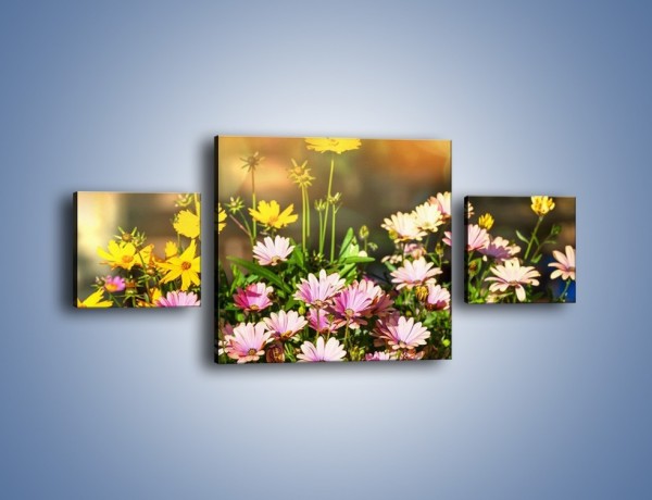 Obraz na płótnie – Polne kwiaty z uśmiechem – trzyczęściowy K456W4