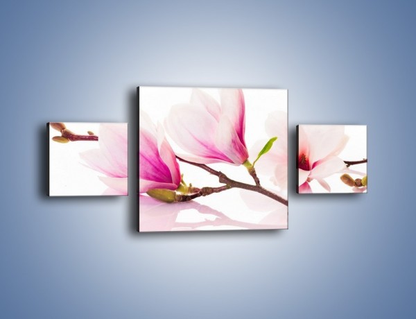 Obraz na płótnie – Lekkość w kwiatach wiśni – trzyczęściowy K485W4