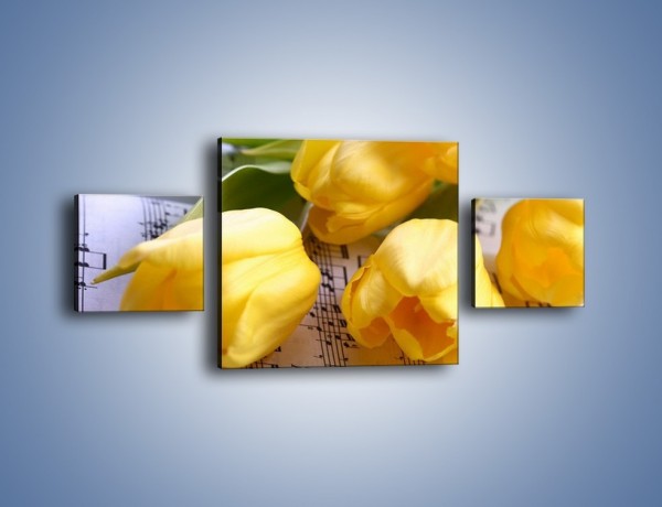 Obraz na płótnie – Tulipanowe nuty – trzyczęściowy K486W4