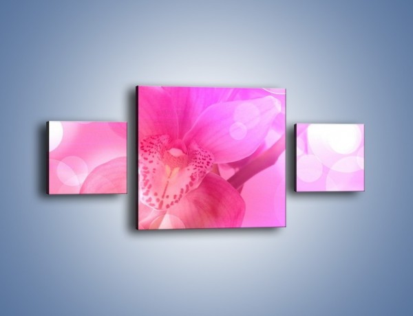 Obraz na płótnie – Budzący dzień w różowym kwiecie – trzyczęściowy K487W4