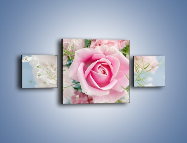 Obraz na płótnie – Róża z przesłaniem – trzyczęściowy K493W4