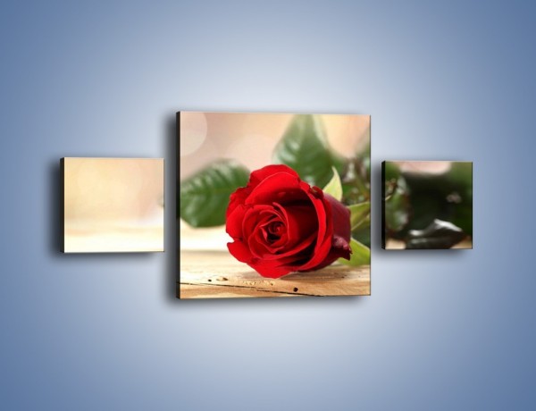 Obraz na płótnie – Stęskniona róża – trzyczęściowy K505W4