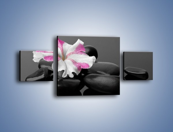 Obraz na płótnie – Czarna tafla z kwiatem – trzyczęściowy K520W4