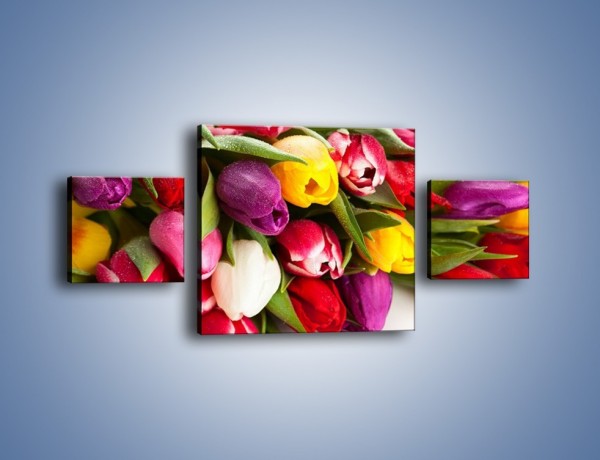 Obraz na płótnie – Spokój i luz zachowany w tulipanach – trzyczęściowy K538W4