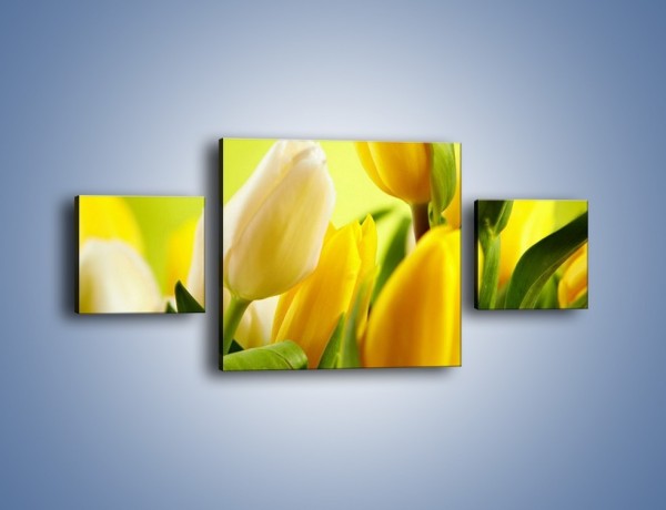 Obraz na płótnie – Żółta historia o kwiatach – trzyczęściowy K553W4