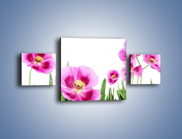 Obraz na płótnie – Maki w kolorze fioletu – trzyczęściowy K571W4