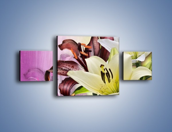 Obraz na płótnie – Podwójna twarz lilii – trzyczęściowy K584W4