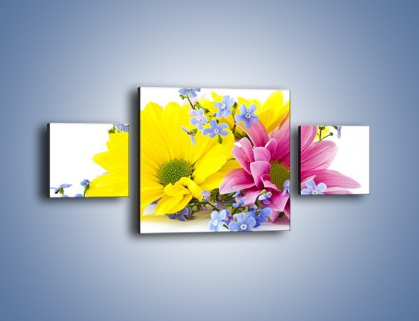 Obraz na płótnie – Niezapominajki wśród kwiatów – trzyczęściowy K604W4