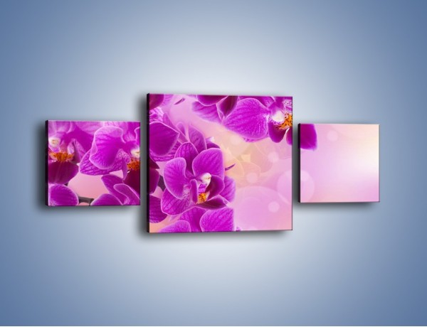 Obraz na płótnie – Spadające fioletowe kwiaty – trzyczęściowy K614W4
