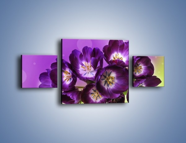 Obraz na płótnie – Fioletowe kwiaty w powietrzu – trzyczęściowy K630W4