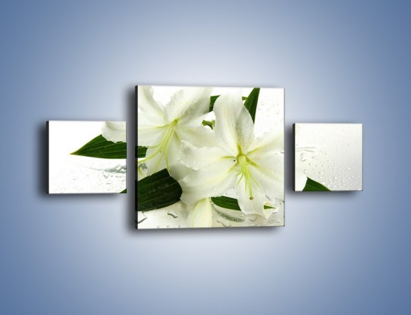 Obraz na płótnie – Niewinność białej lilii – trzyczęściowy K632W4