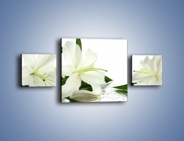 Obraz na płótnie – Czysta biel kwiatów – trzyczęściowy K633W4