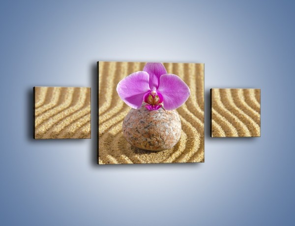 Obraz na płótnie – Struktura piasku z kwiatem – trzyczęściowy K637W4