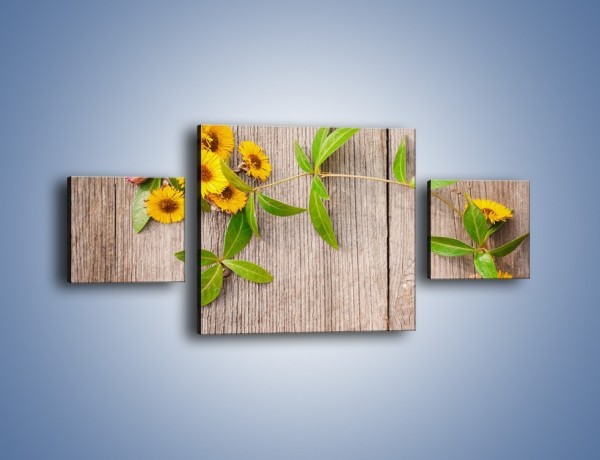 Obraz na płótnie – Słoneczne kwiatuszki na deskach – trzyczęściowy K645W4