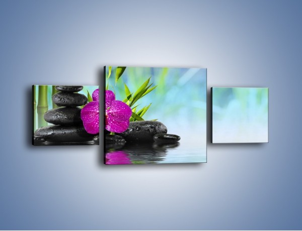 Obraz na płótnie – Wodny pejzaż z kwiatem – trzyczęściowy K646W4