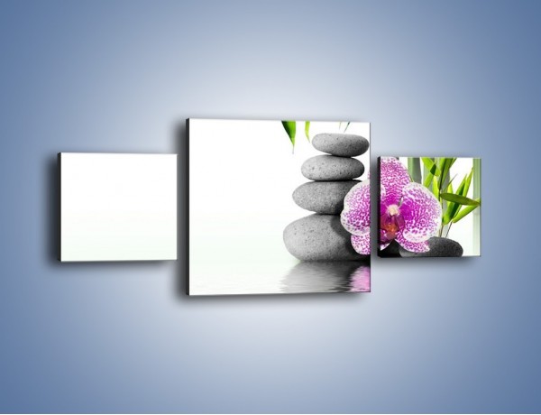 Obraz na płótnie – Woda fale i kwiat – trzyczęściowy K652W4