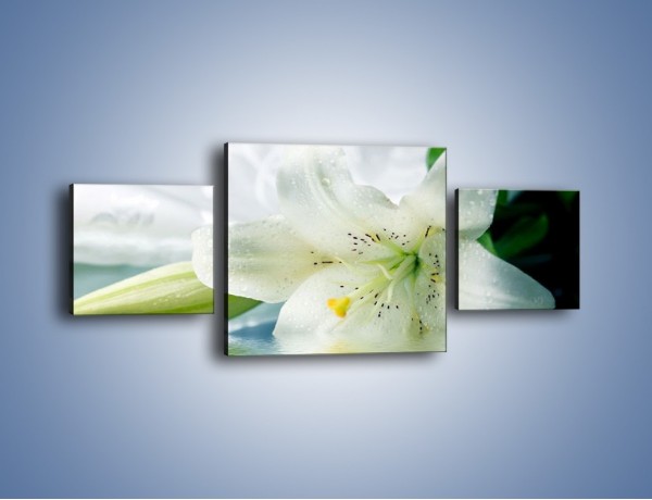 Obraz na płótnie – Czystość zachowana w lilii – trzyczęściowy K675W4