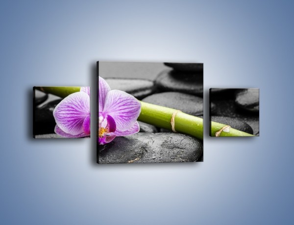 Obraz na płótnie – Bambus czy storczyk – trzyczęściowy K686W4