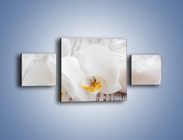 Obraz na płótnie – Krem o zapachu kwiatowym – trzyczęściowy K728W4