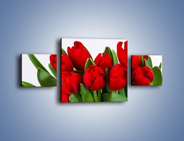 Obraz na płótnie – Tulipany na dzień kobiet – trzyczęściowy K740W4