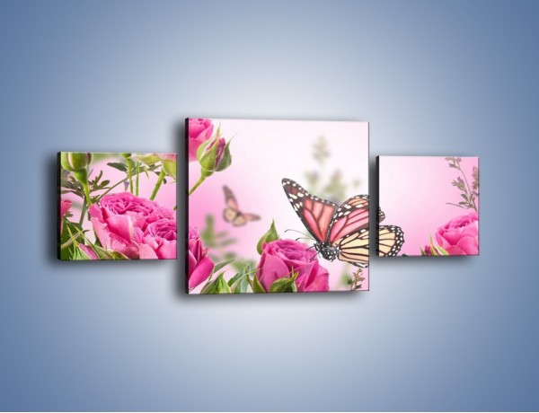 Obraz na płótnie – Motyle różowe jak kwiaty – trzyczęściowy K741W4