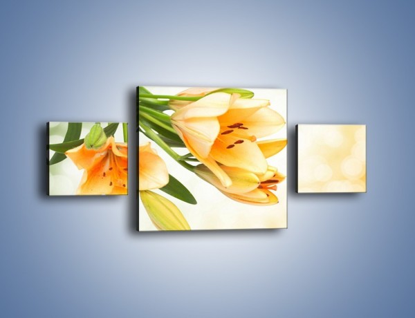 Obraz na płótnie – Łososiowe pachnące lilie – trzyczęściowy K755W4