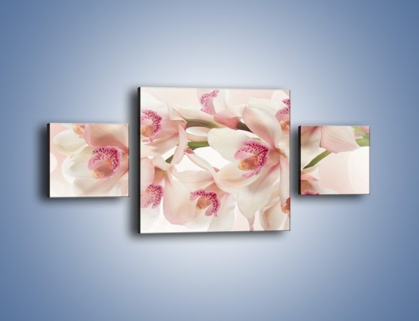 Obraz na płótnie – Szlachetne różowe storczyki – trzyczęściowy K756W4