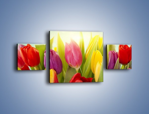 Obraz na płótnie – Tulipany w pierwszym rzędzie – trzyczęściowy K760W4