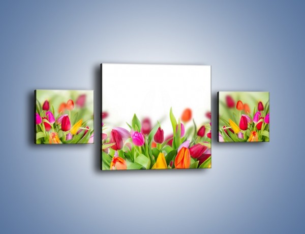 Obraz na płótnie – Tulipanowe bukieciki – trzyczęściowy K763W4
